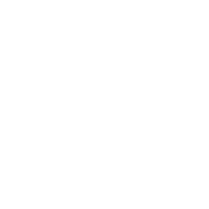 STAB IC6 300