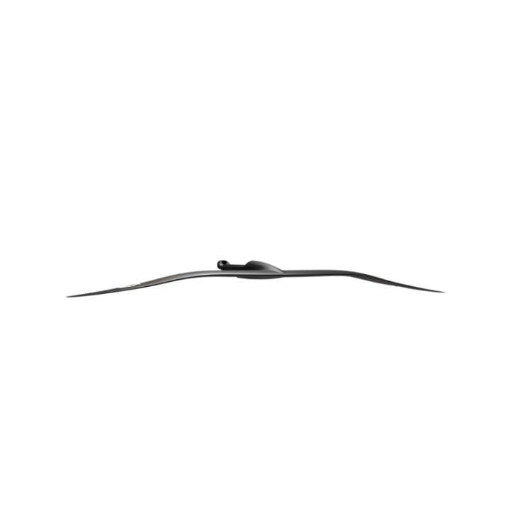 Duotone Front Wing Blitz D/LAB 2025